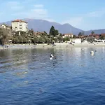 Alpini *